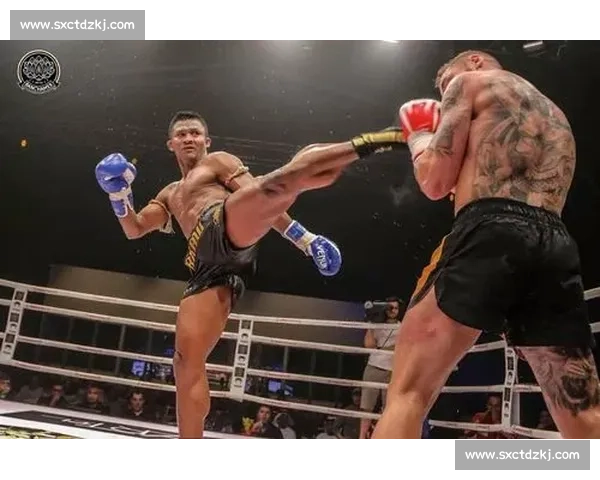一龙迎战播求巅峰对决 谁能在格斗擂台上书写传奇历史 一龙迎战播求巅峰对决 谁能在格斗擂台上书写传奇历史